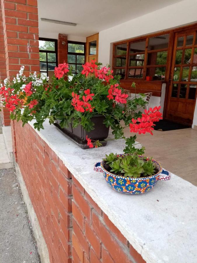 Apartman Dunja I Milos Mokra Gora Zewnętrze zdjęcie