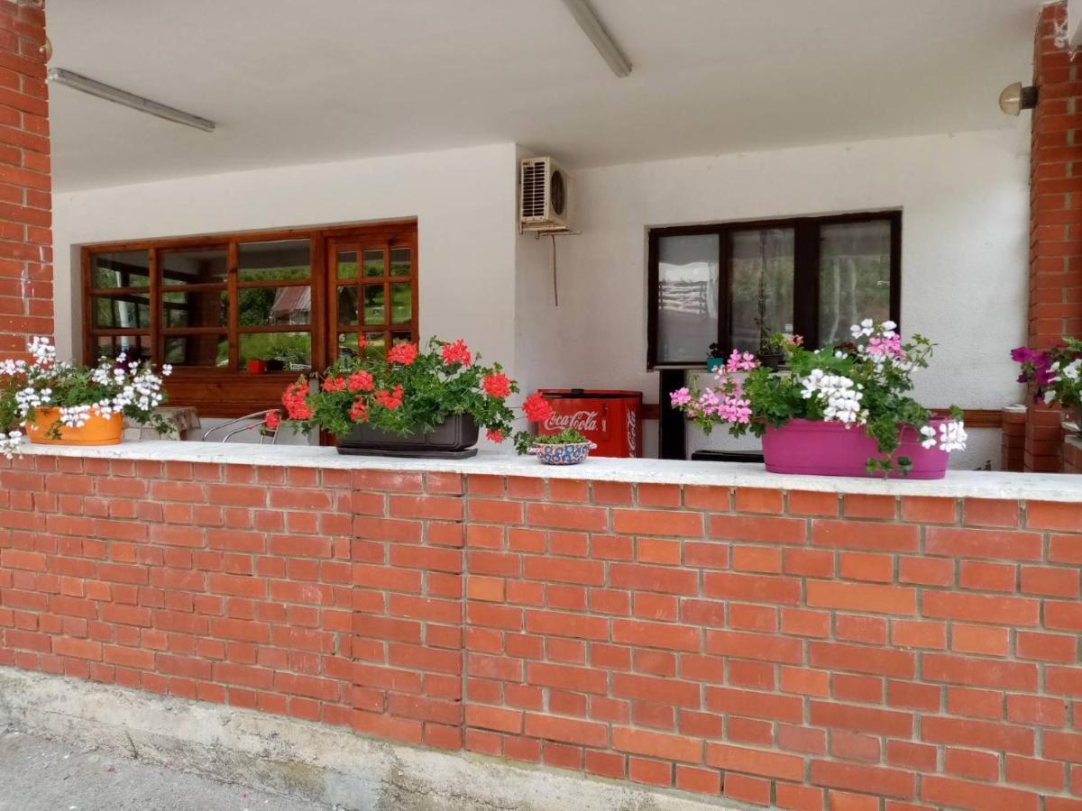 Apartman Dunja I Milos Mokra Gora Zewnętrze zdjęcie