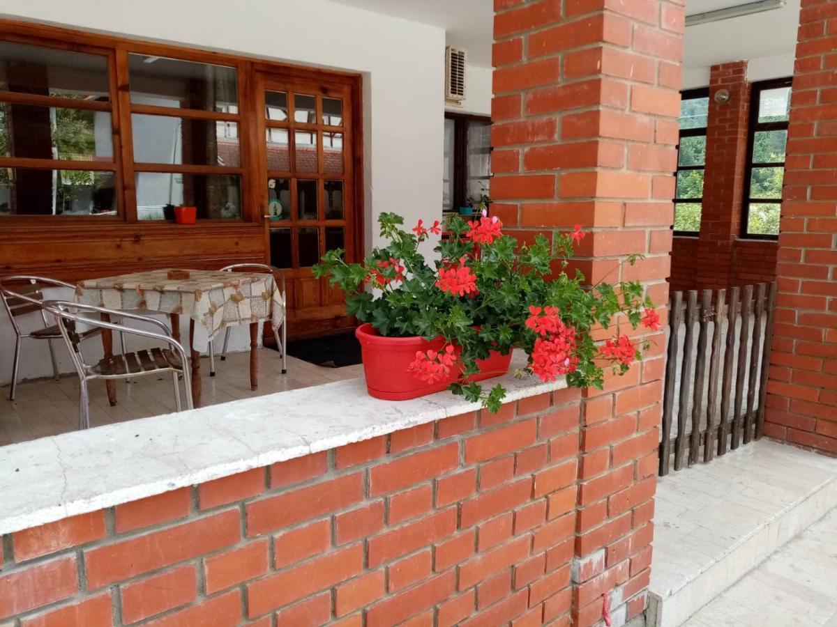 Apartman Dunja I Milos Mokra Gora Zewnętrze zdjęcie